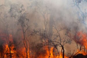 El Gobierno actualiza los datos, pero según estimaciones de UGT van 220.000 hectáreas ardidas y 37 grandes incendios en lo que va de año