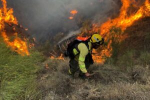 Incendios forestales: La falta de regulación y previsión pone en jaque a nuestros montes