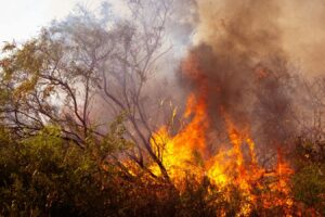 UGT reclama más medios, empleo estable y mejores condiciones para los profesionales de la prevención y extinción de incendios forestales