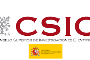 UGT reclama garantizar el cumplimiento normativo y la correcta interlocución sindical en el CSIC