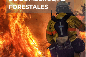 Un año de la Ley 5/2024 básica de bomberos y bomberas forestales