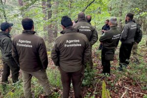 UGT celebra la aprobación de los coeficientes reductores para los Agentes Forestales y Medioambientales, un logro tras casi una década de reivindicación sindical