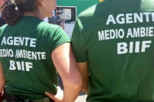 UGT, en unidad de acción, logra que la jubilación anticipada de los agentes forestales y medioambientales sea una realidad operativa