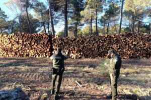 UGT Servicios Públicos pide al MITECO un calendario inmediato para aplicar la Ley 4/2024 de agentes medioambientales