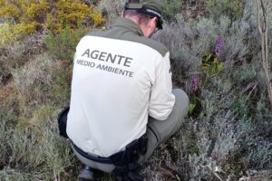 UGT valora de manera positiva el inicio de la aplicación de la ley básica 4/2024 de agentes forestales y medioambientales en el MITECO