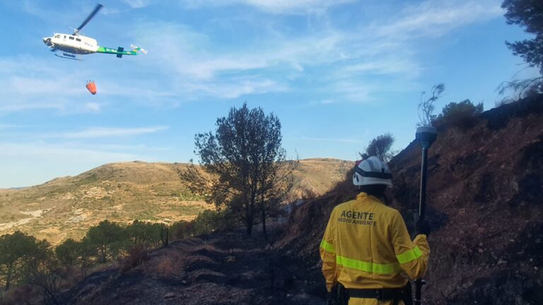 Lee más sobre el artículo España Arde… y Los Gobiernos, de vacaciones, nos dejan sin escudo