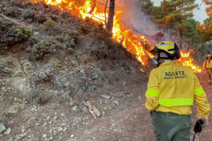 UGT exige responsabilidades por negar el papel de los agentes medioambientales en el Plan INFOCA