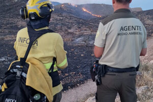 UGT Servicios Públicos reclama más prevención y refuerzo de los Agentes Forestales y Medioambientales ante la grave situación provocada por los incendios forestales