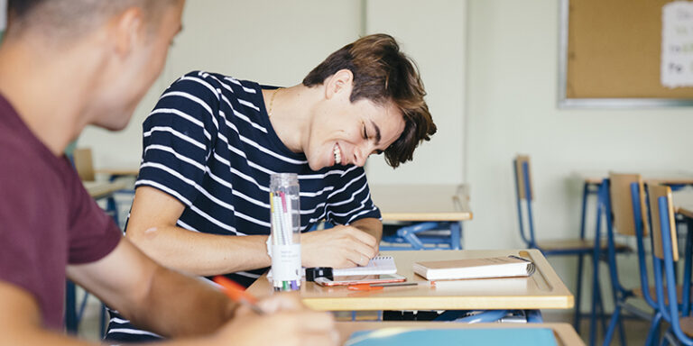 Lee más sobre el artículo <span class='titulo_secundario_portada'>Reguladas las condiciones de formación inicial del profesorado de centros privados para ejercer en ESO o bachillerato</span><span class='titulo_primario_portada'>Reguladas las condiciones de formación inicial del profesorado de centros privados para ejercer la docencia en ESO o Bachillerato</span>