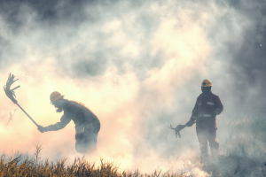 Octubre, un mes terrorífico para las y los bomberos forestales