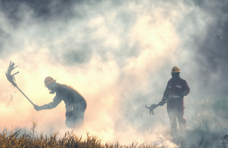 Lee más sobre el artículo Octubre, un mes terrorífico para las y los bomberos forestales