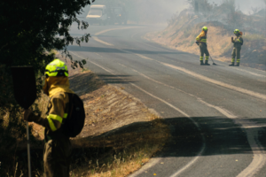 Indignación del sindicato profesional de bomberos forestales de UGT-SP