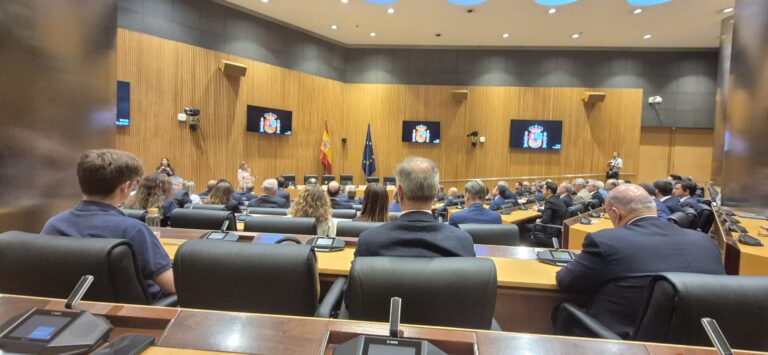 Lee más sobre el artículo UGT reclama una reforma de la contratación pública que garantice servicios esenciales dignos