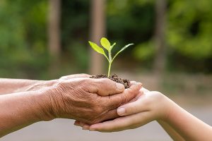 Día Mundial del Medio Ambiente: educar por el planeta es mostrar la realidad que afecta a nuestro presente y nuestro futuro aplicando el rigor, el pensamiento crítico y la evidencia científicaEducar por el planeta es mostrar la realidad que afecta a nuestro presente y nuestro futuro aplicando el rigor, el pensamiento crítico y la evidencia científica