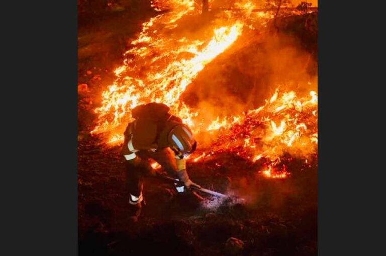 Lee más sobre el artículo Los incendios forestales han arrasado 58.000 hectáreas hasta el momento y  triplican los niveles registrados en último decenio 