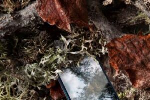 UGT denuncia nuevos retrasos en adopción de Protocolos de Emergencias y Desconexión Digital en la Administración de Seguridad Social