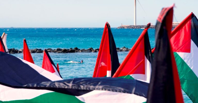 Lee más sobre el artículo UGT Servicios Públicos y FP CGIL exigen la liberación inmediata de los voluntarios de la Flotilla bloqueada por el ejército israelí