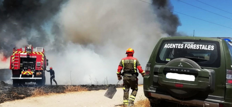 Lee más sobre el artículo La ley básica de Agentes Forestales y Medioambientales, una oportunidad histórica y crucial