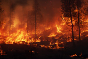 Julio nos deja datos preocupantes por la alta accidentabilidad en los trabajos de extinción de incendios forestales.