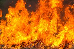 Incendios forestales: cuando la justicia se abre camino entre las llamas