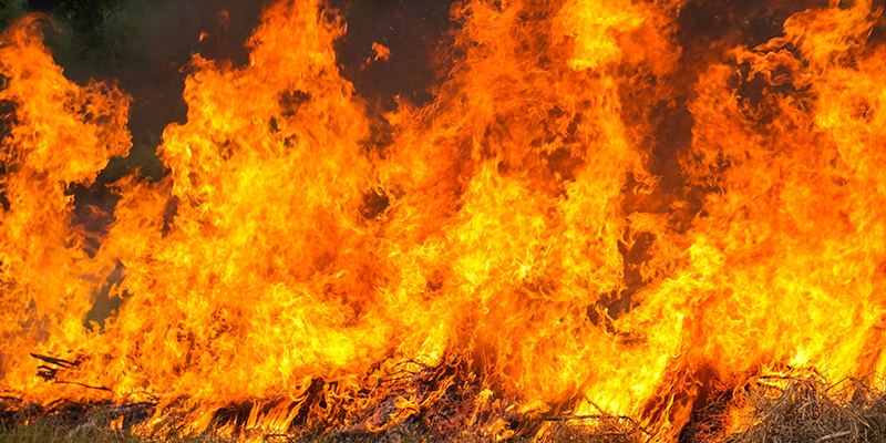 Incendios forestales: cuando la justicia se abre camino entre las llamas