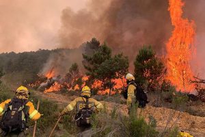 UGT denuncia que hay comunidades que solo mantienen unidades de bomberos forestales en veranoUGT denuncia que hay comunidades que solo mantienen unidades de bomberos forestales en verano y carecen de planes actualizados