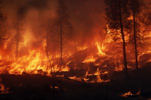UGT lamenta el fallecimiento de un bombero forestal en accidente laboral en el incendio de Ávila