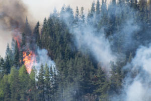 Arranca el periodo de alto riesgo por incendios forestales