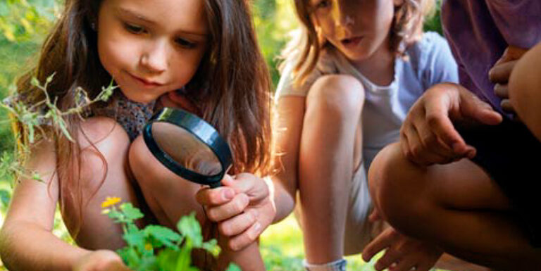 Lee más sobre el artículo UGT reivindica centros educativos más sostenibles y respetuosos con el medioambiente