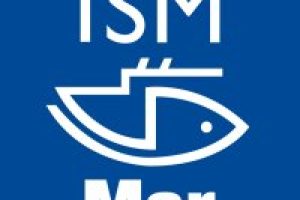 ISM Comisión Central de Formación y Formación para el Empleo
