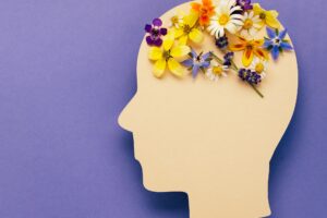 Becas de colaboración en departamentos universitarios